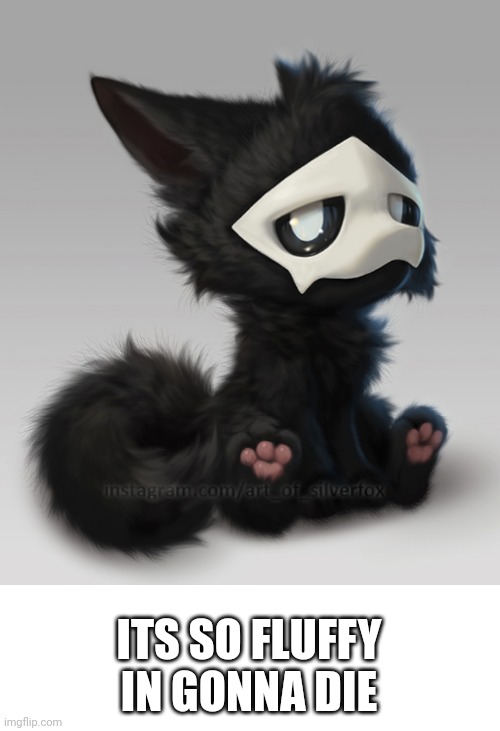 Fluffy boi ♡ (not my art, it was made by silverfox5213 on furaffinity) | ITS SO FLUFFY IN GONNA DIE | image tagged in fluffy puro | made w/ Imgflip meme maker