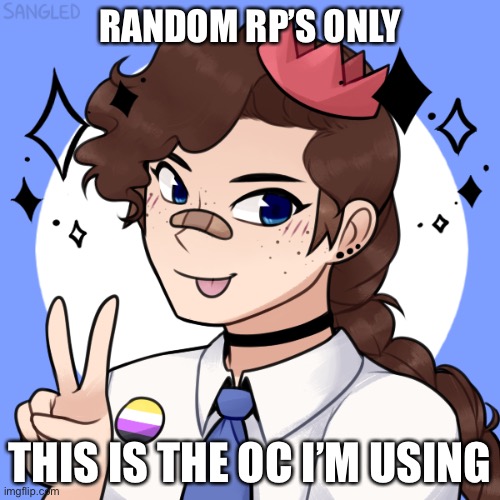 Idk | RANDOM RP’S ONLY; THIS IS THE OC I’M USING | made w/ Imgflip meme maker