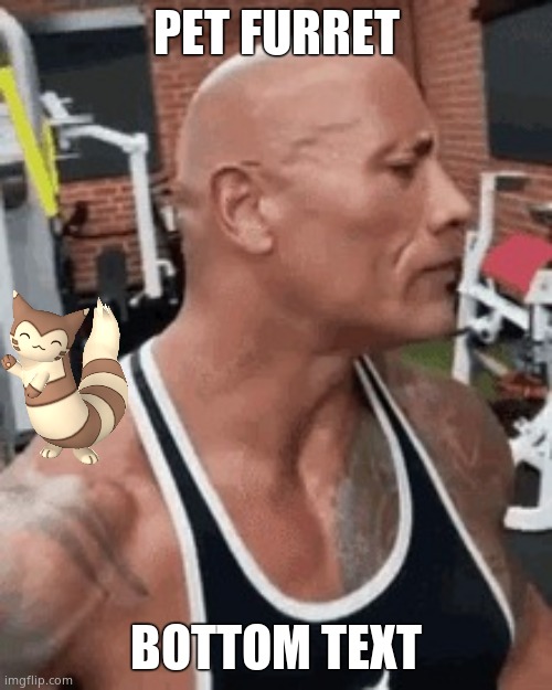 The rock eyebrow | PET FURRET; BOTTOM TEXT | image tagged in the rock eyebrow | made w/ Imgflip meme maker