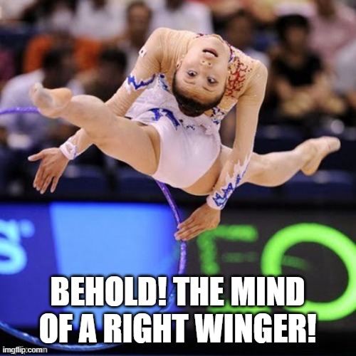 Gymnastics | BEHOLD! THE MIND OF A RIGHT WINGER! | image tagged in gymnastics | made w/ Imgflip meme maker