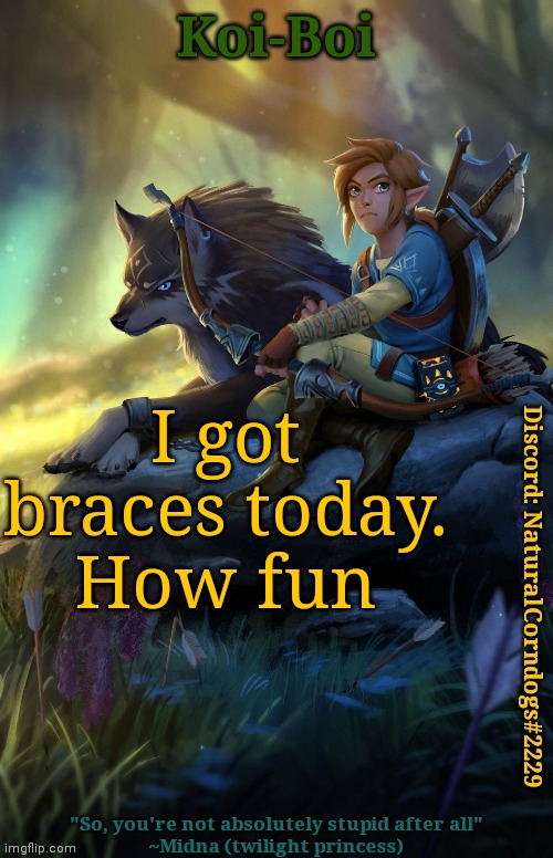I got braces today. How fun | image tagged in link template | made w/ Imgflip meme maker