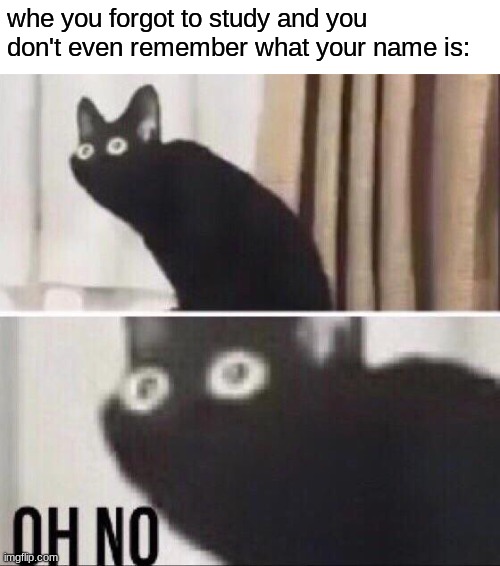 that's when you panik | whe you forgot to study and you don't even remember what your name is: | image tagged in oh no cat,funny,school,school meme | made w/ Imgflip meme maker