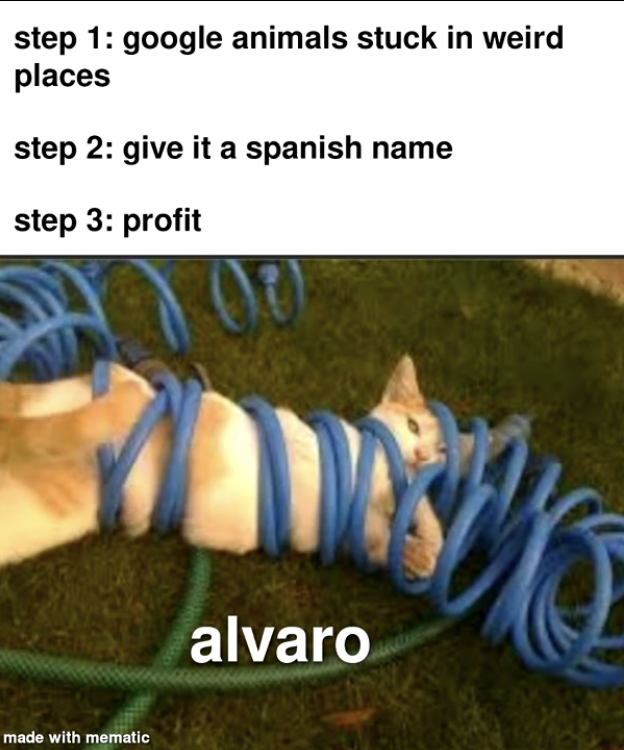 juan tutorial Blank Meme Template