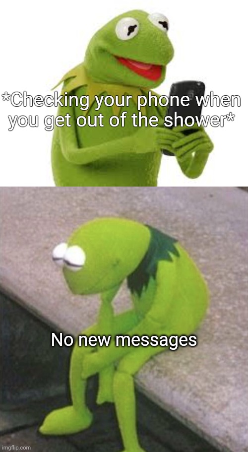 When you get out of the shower... | *Checking your phone when you get out of the shower*; No new messages | image tagged in kermit sad,kermit the frog,text messages,sad | made w/ Imgflip meme maker