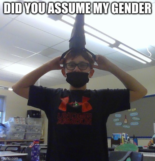how dare u | DID YOU ASSUME MY GENDER | image tagged in funny | made w/ Imgflip meme maker