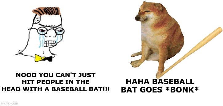 Haha baseball bat goes BONK | NOOO YOU CAN'T JUST HIT PEOPLE IN THE HEAD WITH A BASEBALL BAT!!! HAHA BASEBALL BAT GOES *BONK* | image tagged in nooo haha go brrr,cheems,bonk,meme,memes | made w/ Imgflip meme maker
