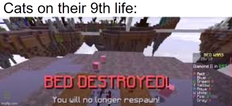true... | CATS ON THEIR 9TH LIFE | image tagged in hjcyngeyrdgbyuebsxesyxeucyngbucy | made w/ Imgflip meme maker