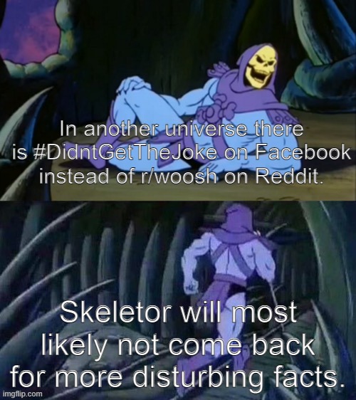 jokes on you im not into that schedule shit | In another universe there is #DidntGetTheJoke on Facebook instead of r/woosh on Reddit. Skeletor will most likely not come back for more disturbing facts. | image tagged in skeletor disturbing facts,reddit,facebook,disturbing facts skeletor | made w/ Imgflip meme maker