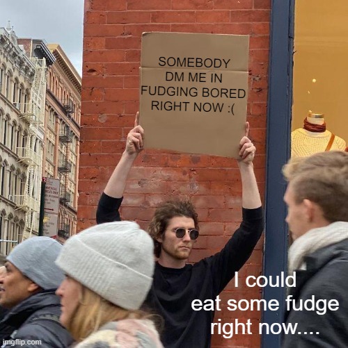 SOMEBODY DM ME IN FUDGING BORED RIGHT NOW :(; I could eat some fudge right now.... | image tagged in memes,guy holding cardboard sign | made w/ Imgflip meme maker