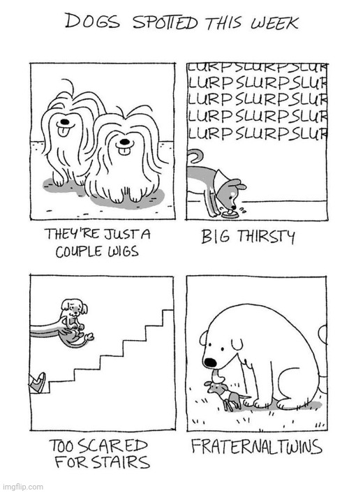 Dogs spotted | image tagged in comics/cartoons,comics,comic,dogs,dog | made w/ Imgflip meme maker
