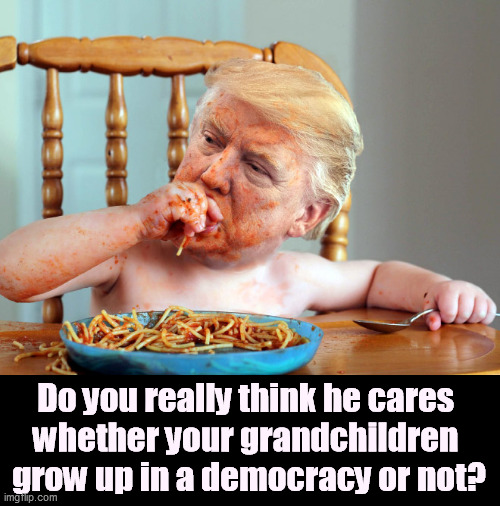 He cares only for Number One. His policies are Number Two. | Do you really think he cares 
whether your grandchildren 
grow up in a democracy or not? | image tagged in trump greedy sloppy emotional child,trump,dictator,no,democracy | made w/ Imgflip meme maker