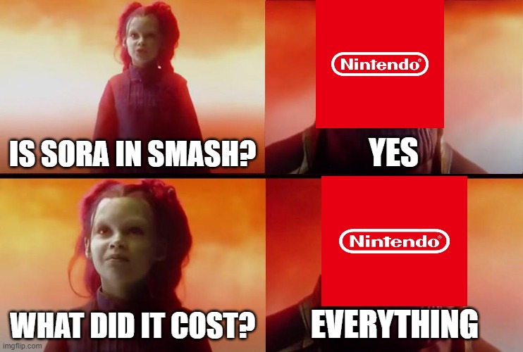 Big dent in the wallet of Mario | IS SORA IN SMASH? YES; WHAT DID IT COST? EVERYTHING | image tagged in thanos what did it cost | made w/ Imgflip meme maker