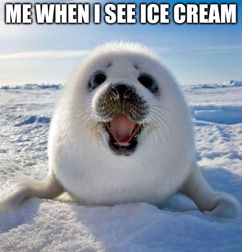 Anybody else? | ME WHEN I SEE ICE CREAM | image tagged in cute seal,relatable | made w/ Imgflip meme maker