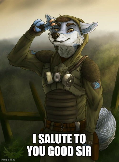 Furry Salute | I SALUTE TO YOU GOOD SIR | image tagged in furry salute | made w/ Imgflip meme maker