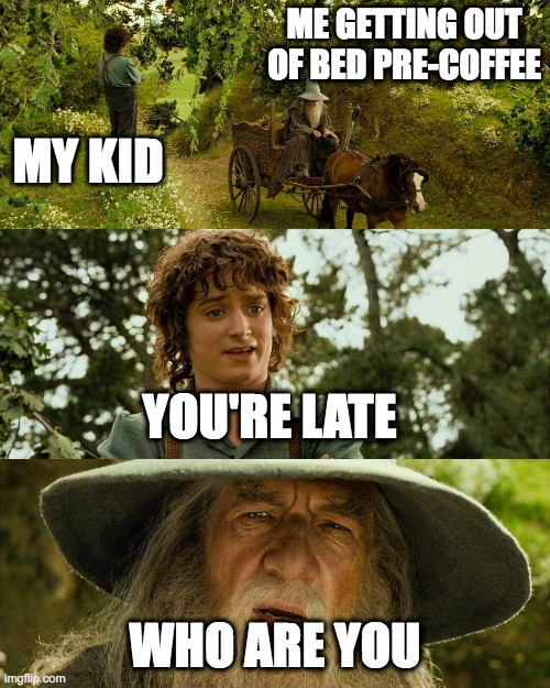 Frodo You're Late |  ME GETTING OUT OF BED PRE-COFFEE; MY KID; YOU'RE LATE; WHO ARE YOU | image tagged in lord of the rings,frodo,gandalf,parenting | made w/ Imgflip meme maker