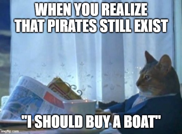 well they do | WHEN YOU REALIZE THAT PIRATES STILL EXIST; "I SHOULD BUY A BOAT" | image tagged in memes,i should buy a boat cat | made w/ Imgflip meme maker