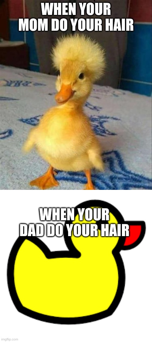  WHEN YOUR MOM DO YOUR HAIR; WHEN YOUR DAD DO YOUR HAIR | image tagged in bock,good doek | made w/ Imgflip meme maker