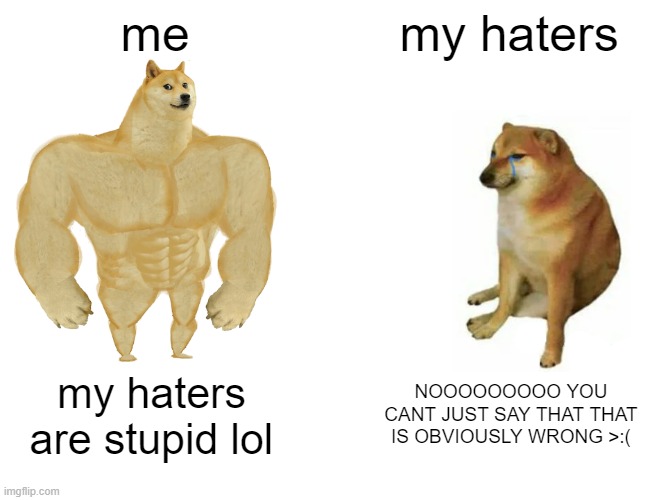 Buff Doge vs. Cheems | me; my haters; my haters are stupid lol; NOOOOOOOOO YOU CANT JUST SAY THAT THAT IS OBVIOUSLY WRONG >:( | image tagged in memes,buff doge vs cheems | made w/ Imgflip meme maker