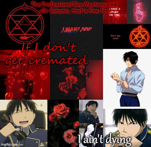 I am a professional Roy Mustang simp | If I don't get cremated; I ain't dying | image tagged in i am a professional roy mustang simp | made w/ Imgflip meme maker