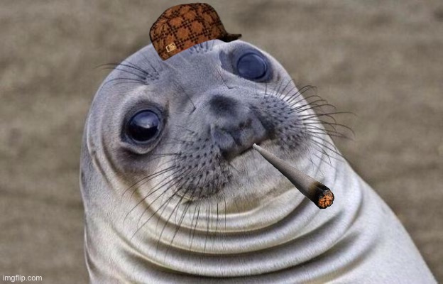 Awkward Moment Sealion | image tagged in memes,awkward moment sealion | made w/ Imgflip meme maker