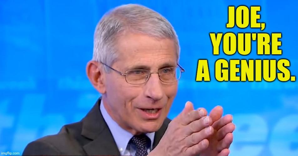 Dr. Fauci 2020 | JOE, YOU'RE A GENIUS. | image tagged in dr fauci 2020 | made w/ Imgflip meme maker