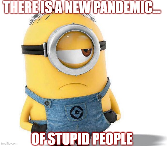pandemic of stupid people | THERE IS A NEW PANDEMIC... OF STUPID PEOPLE | image tagged in human stupidity | made w/ Imgflip meme maker