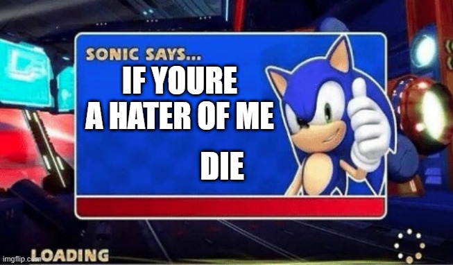Sonic Says | IF YOURE A HATER OF ME; DIE | image tagged in sonic says | made w/ Imgflip meme maker