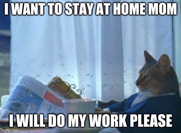 I Should Buy A Boat Cat | I WANT TO STAY AT HOME MOM; I WILL DO MY WORK PLEASE | image tagged in memes,i should buy a boat cat | made w/ Imgflip meme maker
