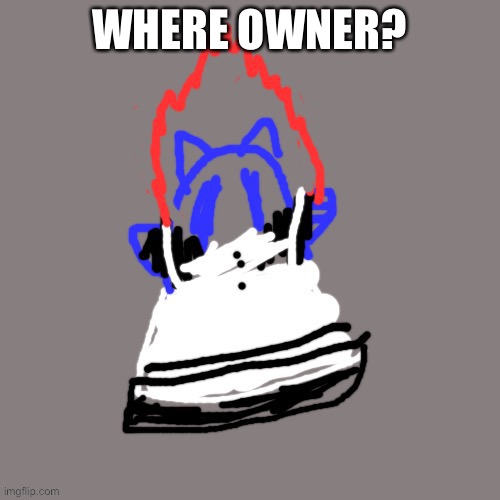 I won’t give anyone owner again | WHERE OWNER? | image tagged in maid soul | made w/ Imgflip meme maker