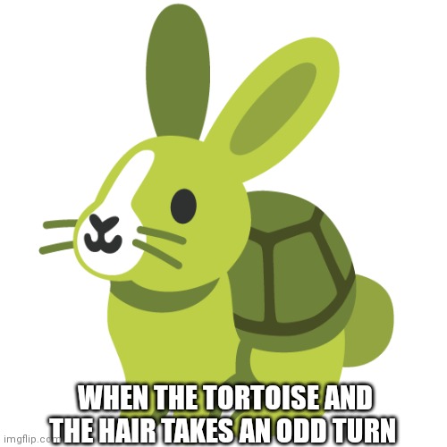 WHEN THE TORTOISE AND THE HAIR TAKES AN ODD TURN | made w/ Imgflip meme maker