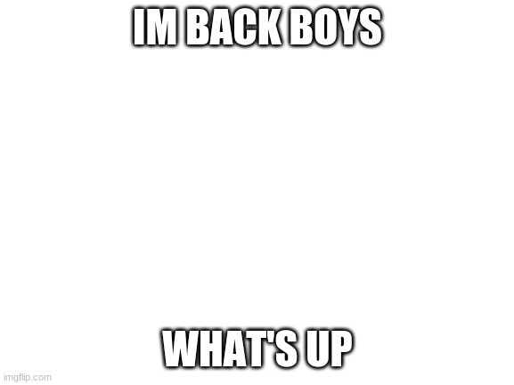 Im Back | IM BACK BOYS; WHAT'S UP | image tagged in blank white template | made w/ Imgflip meme maker