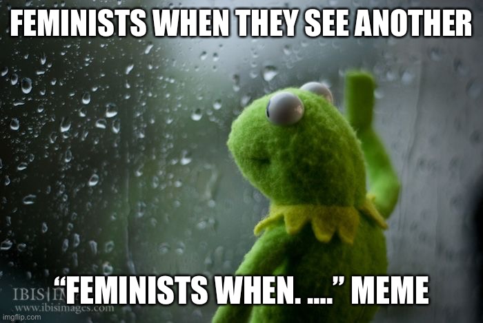 Me realizing this is also one of those memes… | FEMINISTS WHEN THEY SEE ANOTHER; “FEMINISTS WHEN. ….” MEME | image tagged in kermit window | made w/ Imgflip meme maker