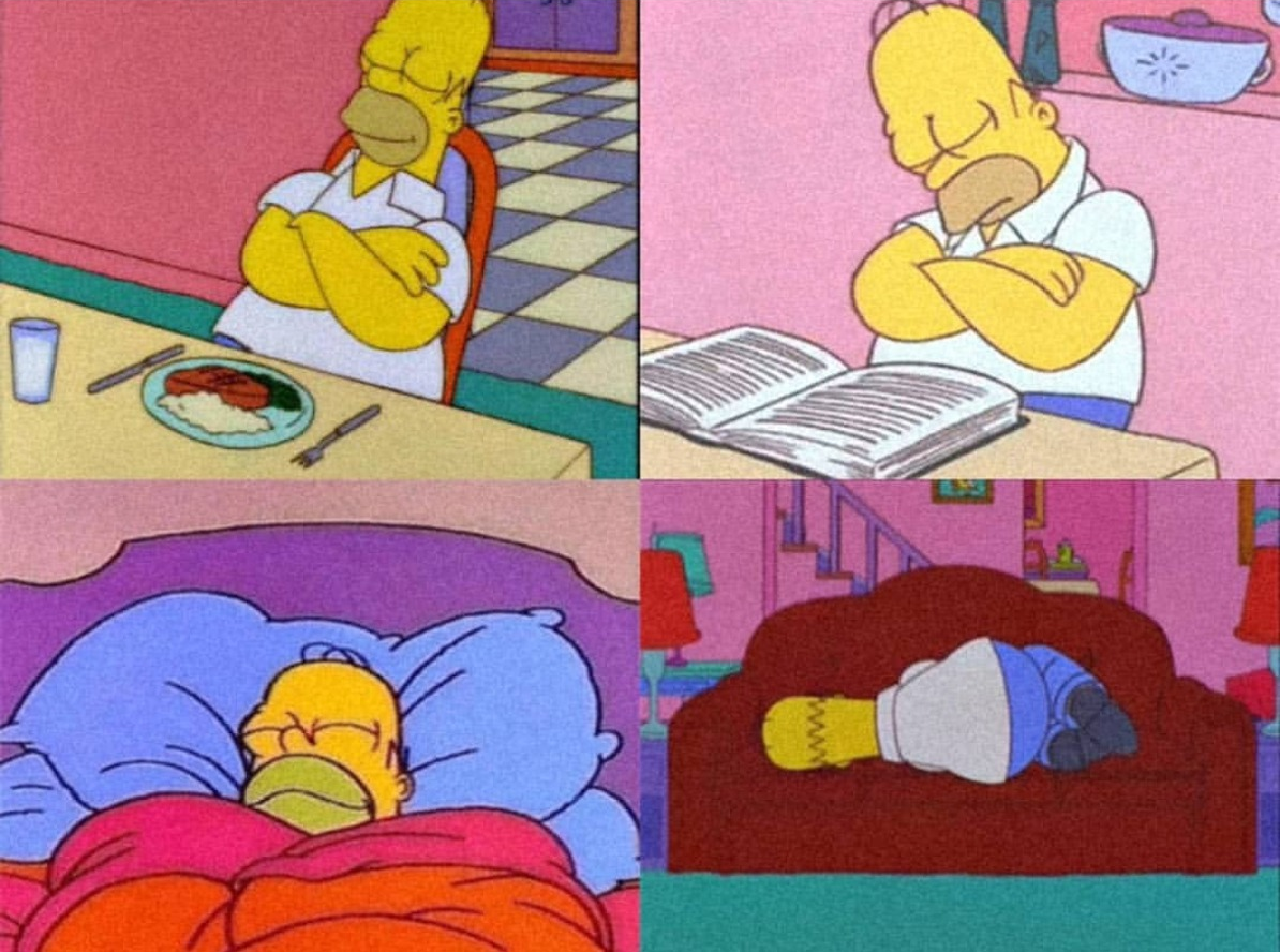 homer sleep Blank Meme Template