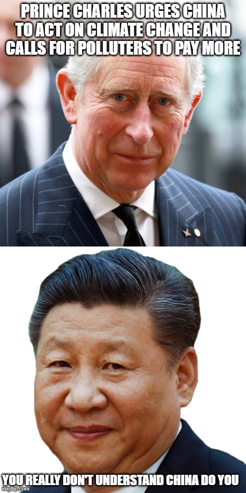 PRINCE CHARLES URGES CHINA TO ACT ON CLIMATE CHANGE AND CALLS FOR POLLUTERS TO PAY MORE; YOU REALLY DON'T UNDERSTAND CHINA DO YOU | image tagged in prince charles,xi xinpeng | made w/ Imgflip meme maker