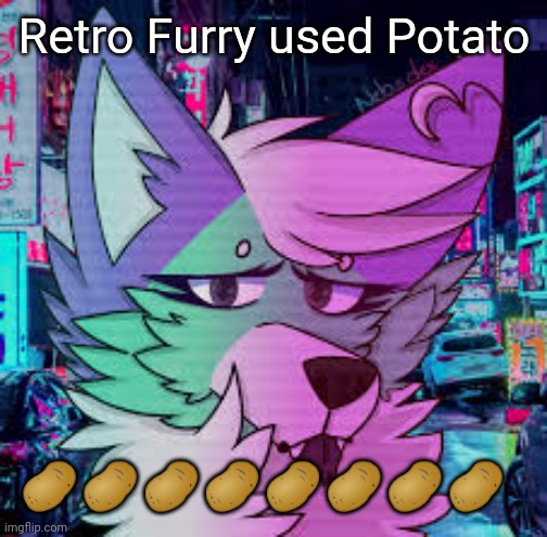 Retro Furry | Retro Furry used Potato ???????? | image tagged in retro furry | made w/ Imgflip meme maker