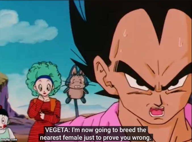 Vegeta will breed the nearest girl just to prove you wrong | image tagged in vegeta will breed the nearest girl just to prove you wrong | made w/ Imgflip meme maker