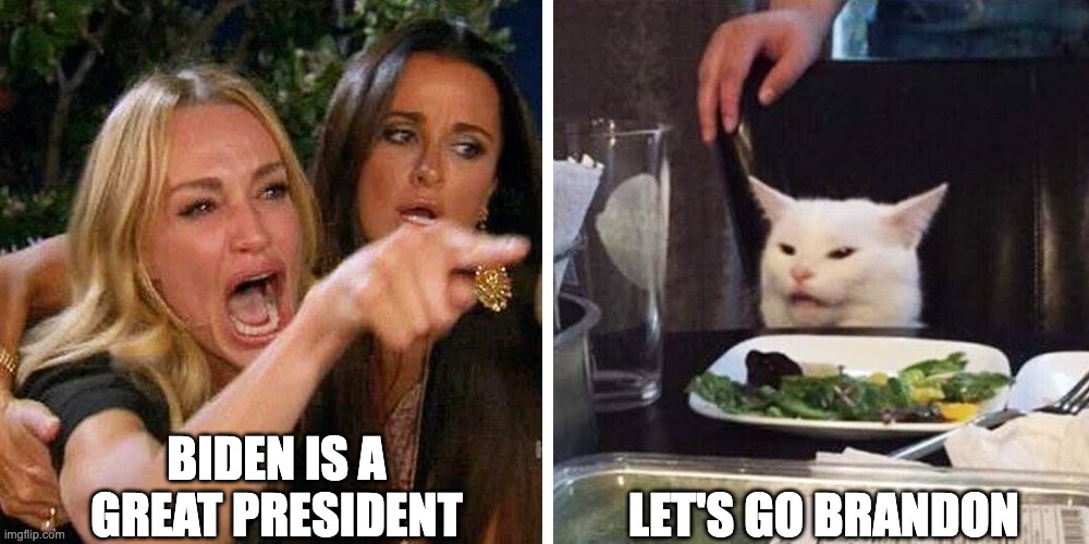 Smudge the cat | BIDEN IS A GREAT PRESIDENT; LET'S GO BRANDON | image tagged in smudge the cat | made w/ Imgflip meme maker