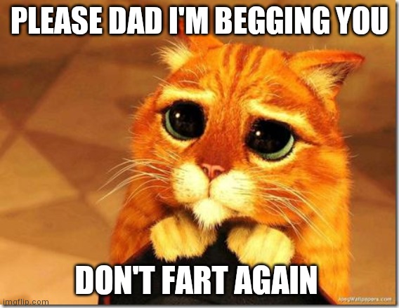 Puss in Boots | PLEASE DAD I'M BEGGING YOU; DON'T FART AGAIN | image tagged in puss in boots | made w/ Imgflip meme maker