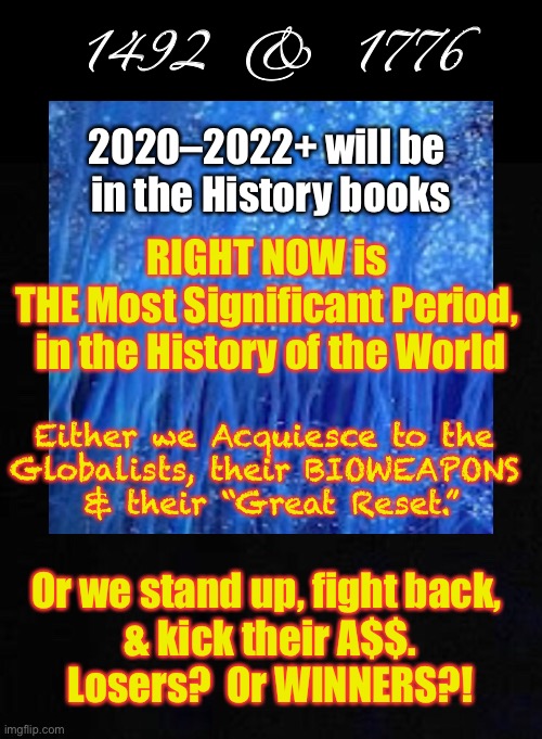 ~  Epic Epoch  ~ | 1492  &  1776; 2020–2022+ will be 
in the History books; RIGHT NOW is 
THE Most Significant Period, 
in the History of the World; Either we Acquiesce to the 
Globalists, their BIOWEAPONS 
& their “Great Reset.”; Or we stand up, fight back, 
& kick their A$$.
Losers?  Or WINNERS?! | image tagged in memes,what did you do grandpa when the globalists,were trying to take over the world,did you help them or stop them | made w/ Imgflip meme maker