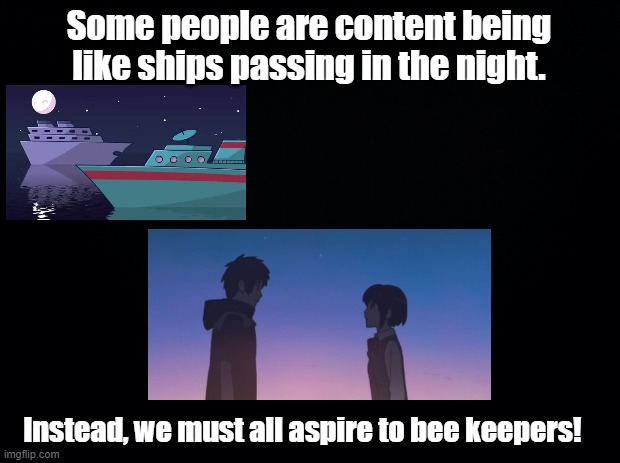 Bee keepers | Some people are content being like ships passing in the night. Instead, we must all aspire to bee keepers! | image tagged in black background,ships,relationships,bees,pun | made w/ Imgflip meme maker