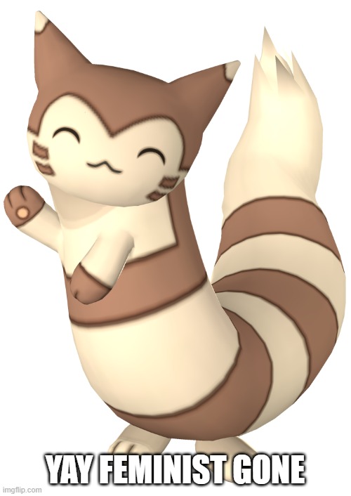 furret transparent 2 | YAY FEMINIST GONE | image tagged in furret transparent 2 | made w/ Imgflip meme maker