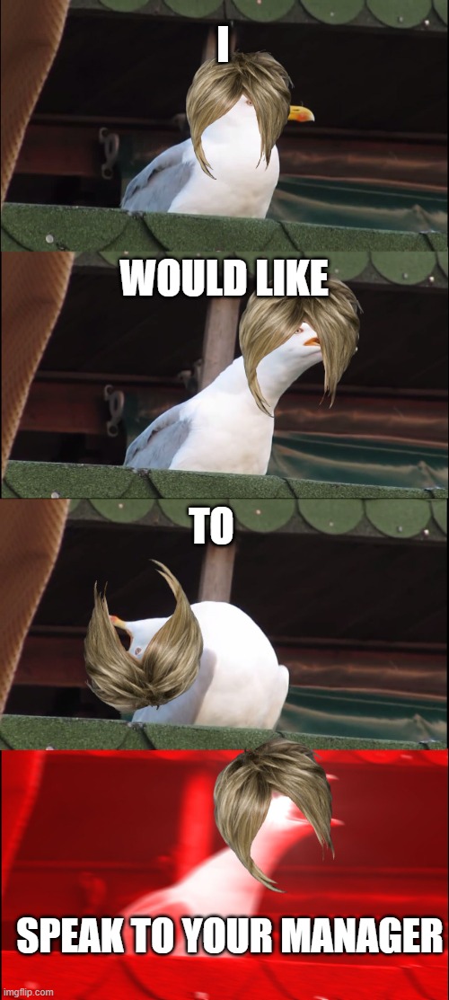 Inhaling Seagull | I; WOULD LIKE; TO; SPEAK TO YOUR MANAGER | image tagged in memes,inhaling seagull | made w/ Imgflip meme maker