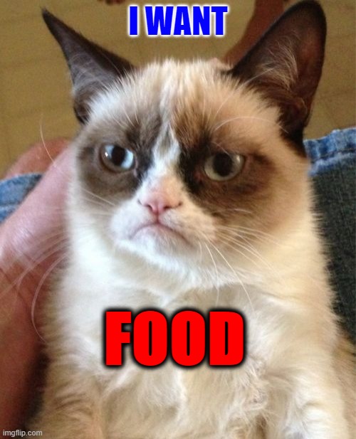 Grumpy Cat Meme | I WANT; FOOD | image tagged in memes,grumpy cat | made w/ Imgflip meme maker