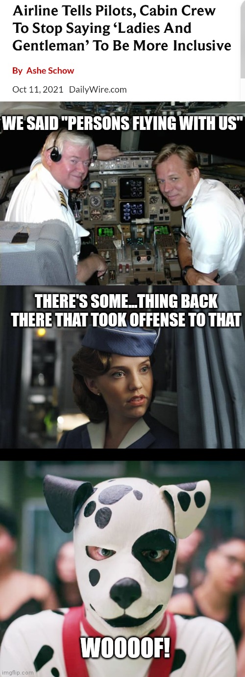 C'mon | WE SAID "PERSONS FLYING WITH US"; THERE'S SOME...THING BACK THERE THAT TOOK OFFENSE TO THAT; WOOOOF! | image tagged in pilots in the cockpit,flight attendant,woke,liberals,dog,democrats | made w/ Imgflip meme maker