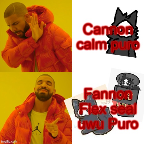 Drake Hotline Bling Meme | Cannon calm puro; Fannon Flex seal uwu Puro | image tagged in memes,drake hotline bling | made w/ Imgflip meme maker