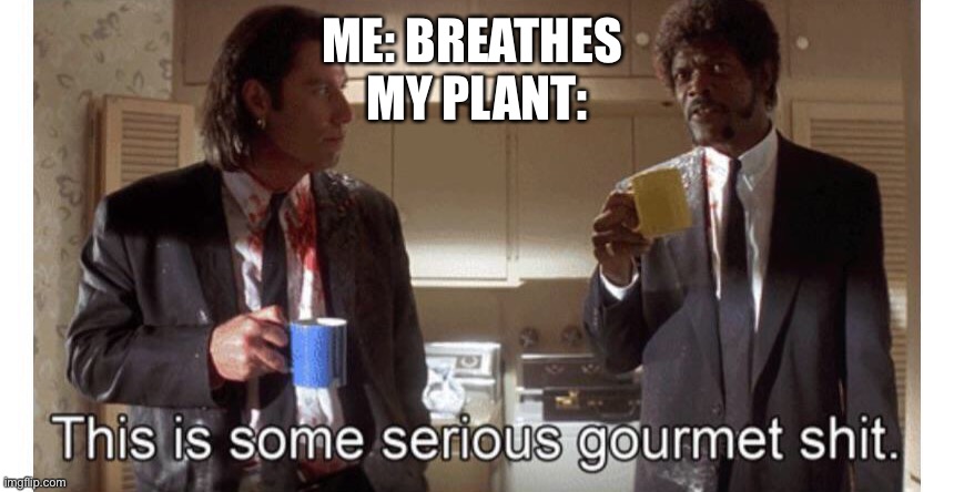 Seriously tho | ME: BREATHES 
MY PLANT: | image tagged in pulp fiction,funny meme | made w/ Imgflip meme maker
