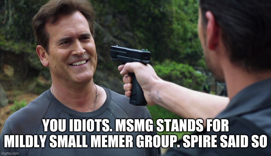 you idiot,you can't threaten me with that,this is a gun free zon | YOU IDIOTS. MSMG STANDS FOR MILDLY SMALL MEMER GROUP. SPIRE SAID SO | image tagged in you idiot you can't threaten me with that this is a gun free zon | made w/ Imgflip meme maker