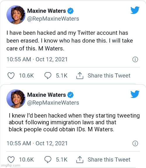 A real one and one if they told the truth | I knew I'd been hacked when they starting tweeting
about following immigration laws and that
black people could obtain IDs. M Waters. | image tagged in democrats,maxine waters,liberals,twitter | made w/ Imgflip meme maker