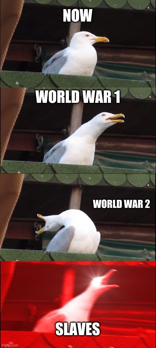 life | NOW; WORLD WAR 1; WORLD WAR 2; SLAVES | image tagged in memes,inhaling seagull | made w/ Imgflip meme maker