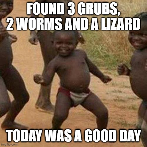 Third World Success Kid Meme | FOUND 3 GRUBS, 2 WORMS AND A LIZARD TODAY WAS A GOOD DAY | image tagged in memes,third world success kid | made w/ Imgflip meme maker